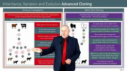 Advanced Cloning Techniques: Embryo Transplants and Adult Cell Cloning Instructional Video