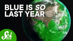 The Ocean’s Turning Green (That’s Bad) Instructional Video