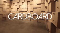 Exploring the Uses and Benefits of Cardboard Instructional Video