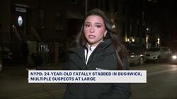 NYPD: 24-year-old fatally stabbed in Bushwick; 5 suspects at large Instructional Video