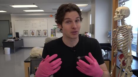 Understanding the Ulnar Nerve: The Truth About the Funny Bone