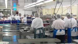 Teenagers to fill the gap of temporary foreign workers at lobster plant News Clip