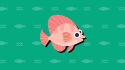 I WONDER - Do Fish Have Eyelids? Instructional Video