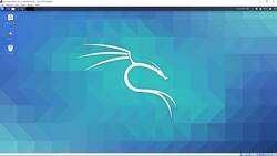 Practical Cyber Hacking Skills for Beginners - Kali Linux Walkthrough Instructional Video
