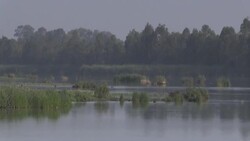 CLEAN : Little by little, Mexico City lake dries up due to human activity News Clip