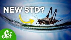 6 Incredible Discoveries Made on Accident Instructional Video