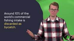 Which Seafood Is Better for the Environment: Farmed or Wild Caught? Instructional Video