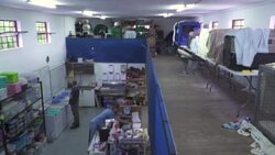 VOICED : South African hospital gives poached pangolins new lease on life News Clip