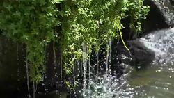 Waterfall in slow motion 180fps Stock Footage