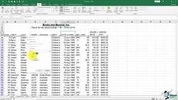 The Complete Excel Guide: Beginners to Advanced - Filter Data Instructional Video
