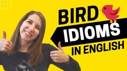 Animal Idioms: The Bird Edition - All Ears English Podcast 1712 Instructional Video