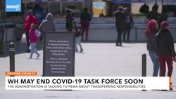 White House Considers Winding Down Coronavirus Task Force This Month News Clip