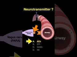 Testing ANS #shorts (Part D) Instructional Video