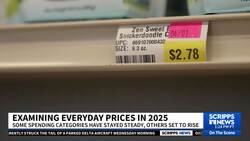 About a month into 2025, are significant price drops on the horizon? News Clip