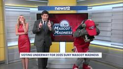 Mascot Madness! New York looks to name favorite college mascot News Clip