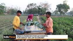 India IMD's Mohapatra on Monsoon Rains Impact on Economy News Clip