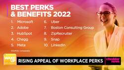 TikTok Becomes Showcase for Company Perks News Clip