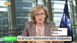 EU's McGuinness Says Re-Engineering of Global Finance Needed News Clip
