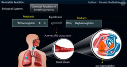 Introduction to Chemical Equilibrium – Human Respiration Instructional Video