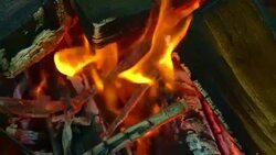 Large firewood burn for frying meat. Bonfire. Furnace Stock Footage