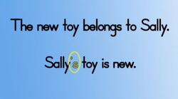 Singular Possessive Nouns Instructional Video