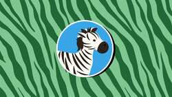 I WONDER - How Have Humans Influenced Zebras? Instructional Video