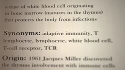 T-Cell Definition Stock Footage