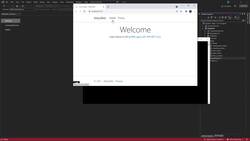 The Complete Guide to ASP.NET Core MVC (.NET 6) - Routing Overview-2 Instructional Video