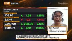 China's Demand for Commodities Will Come Back: Kumari News Clip