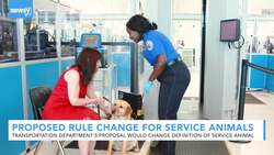 Transportation Department Proposes Change To Service Animals On Planes News Clip