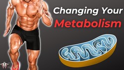 The Best Exercise For Health, Fitness, and Longevity Instructional Video