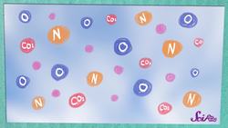 How Do Fish Breathe? Animal Science for Kids Instructional Video