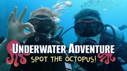 Underwater Adventure! Can you spot the Octopus? | Maddie Moate Instructional Video