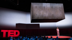 TED: Nature, art and magical blocks of flying concrete | Lonneke Gordijn Instructional Video