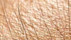 Human Skin Analysis Stock Footage