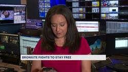 Bronx man fights to stay out of prison following court order to return News Clip