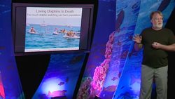 TED: The intriguing sound of marine mammals | Peter Tyack Instructional Video