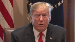 Trump doubles down on wall at trafficking event Instructional Video