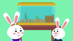 Ria consigue una mascota Instructional Video