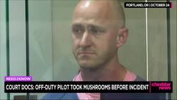 Off-Duty Pilot Who Tried to Cut Engines Told Police He Experimented With Mushrooms, Complaint Says News Clip