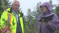 Search for Agent Orange underway on Canadian military base News Clip