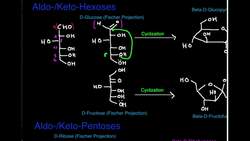 Carbohydrate Structure Aldohexoses and Ketohexoses Instructional Video