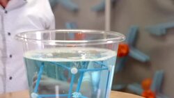 DIY Sci: Bubble Cube Instructional Video