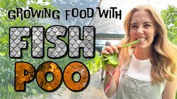 How to grow Fish Poo Salad!? | Aquaponics for Kids | Maddie Moate Instructional Video