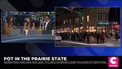 As Legal Cannabis Arrives in Illinois, All Eyes on Success of Massive Rollout News Clip