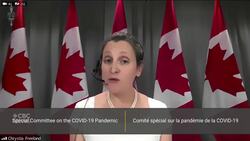 'We could describe it as the original sin of our country': Freeland on racism News Clip