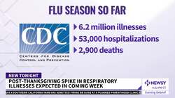 Experts Are Expecting A Rise In Flu Cases Post-Thanksgiving News Clip