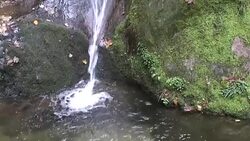 Edelfrauengrab Wasserfälle im Schwarzwald Stock Footage