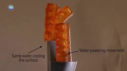Can we keep robots cool by making them sweat? Instructional Video