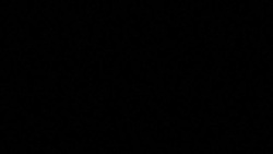 CLEAN : Trump: India wants to start trade talks with US immediately News Clip